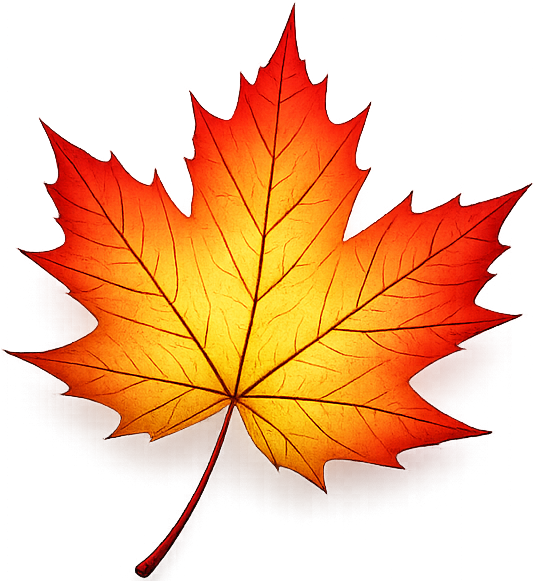 Canadian maple leaf